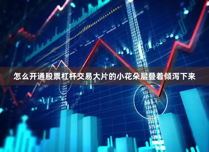怎么开通股票杠杆交易大片的小花朵层叠着倾泻下来