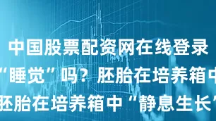 中国股票配资网在线登录1 胚胎会“睡觉”吗？胚胎在培养箱中“静息生长”